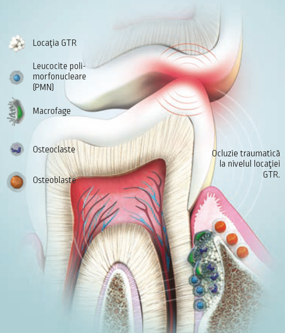 Diagram Description automatically generated